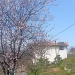 Ferma Hodobashi Vendégház *