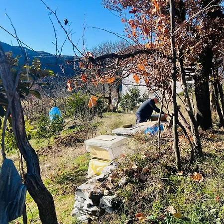Ferma Hodobashi Πανσιόν
