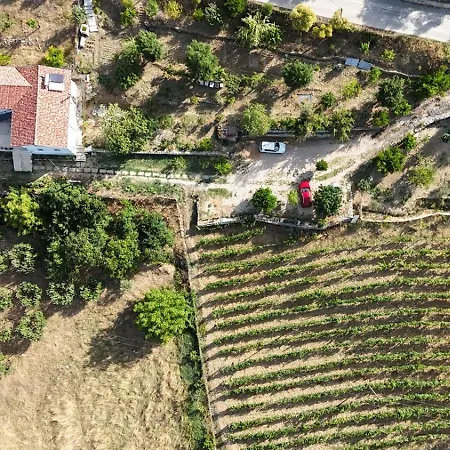 Ferma Hodobashi 3*
